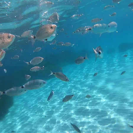 Sweet Simius Vakantiehuis Villasimius