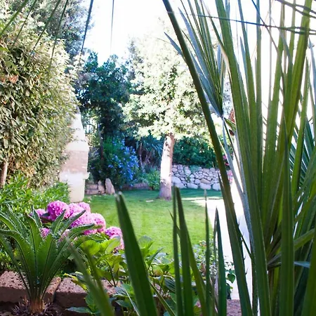 Vakantiehuis Sweet Simius *