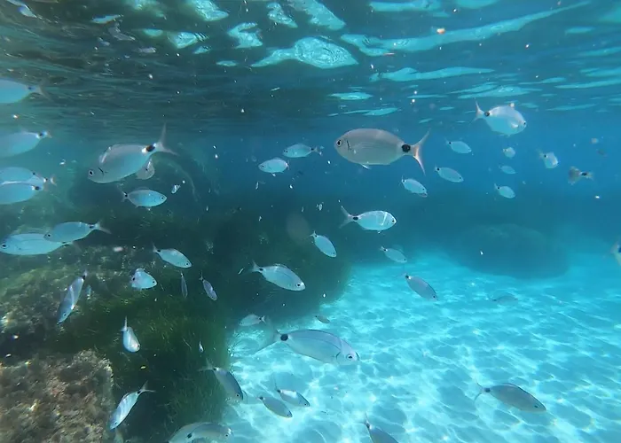 Σπίτι διακοπών Sweet Simius Villasimius