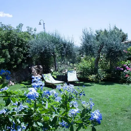 Nyaraló Sweet Simius *