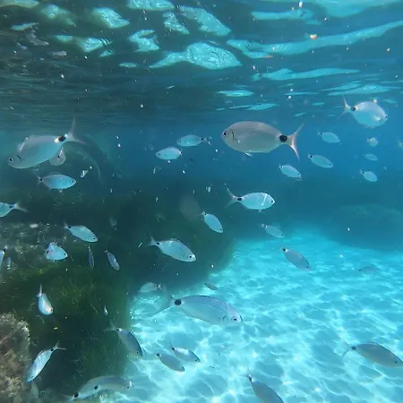 בית נופש Sweet Simius וילסימיוס