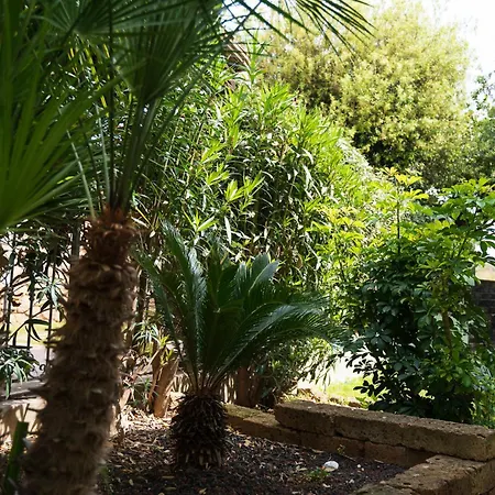 Sweet Simius בית נופש