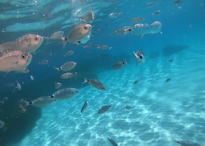 Sweet Simius Prázdninový dům Villasimius