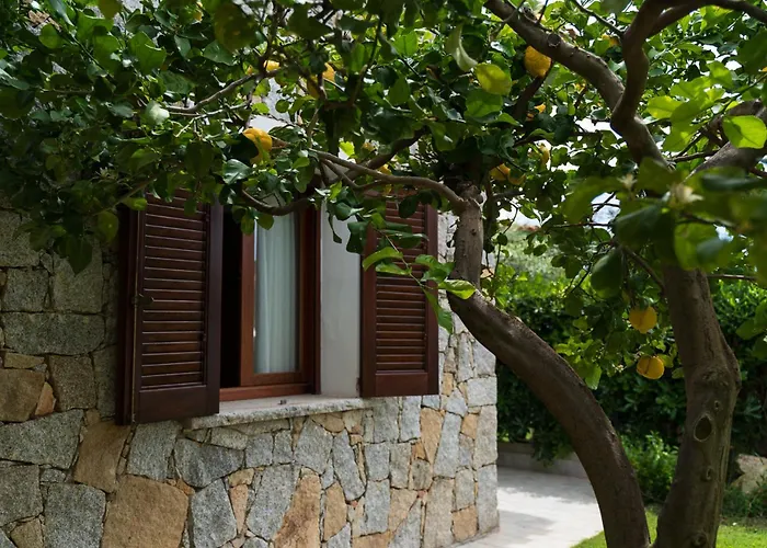 Nyaraló Sweet Simius