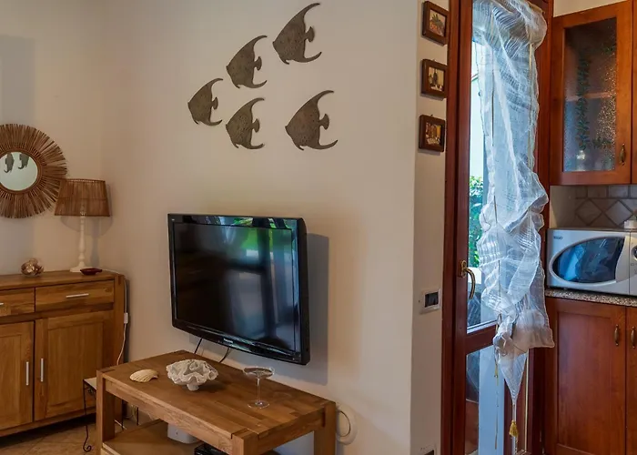 Nyaraló Sweet Simius *