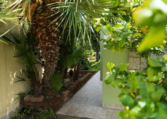 Sweet Simius Nyaraló